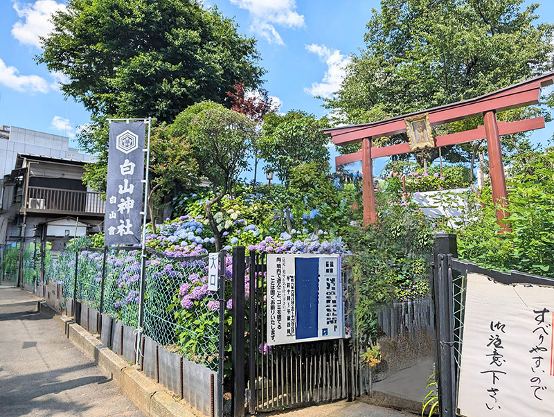 白山浅間神社(富士塚)の鳥居